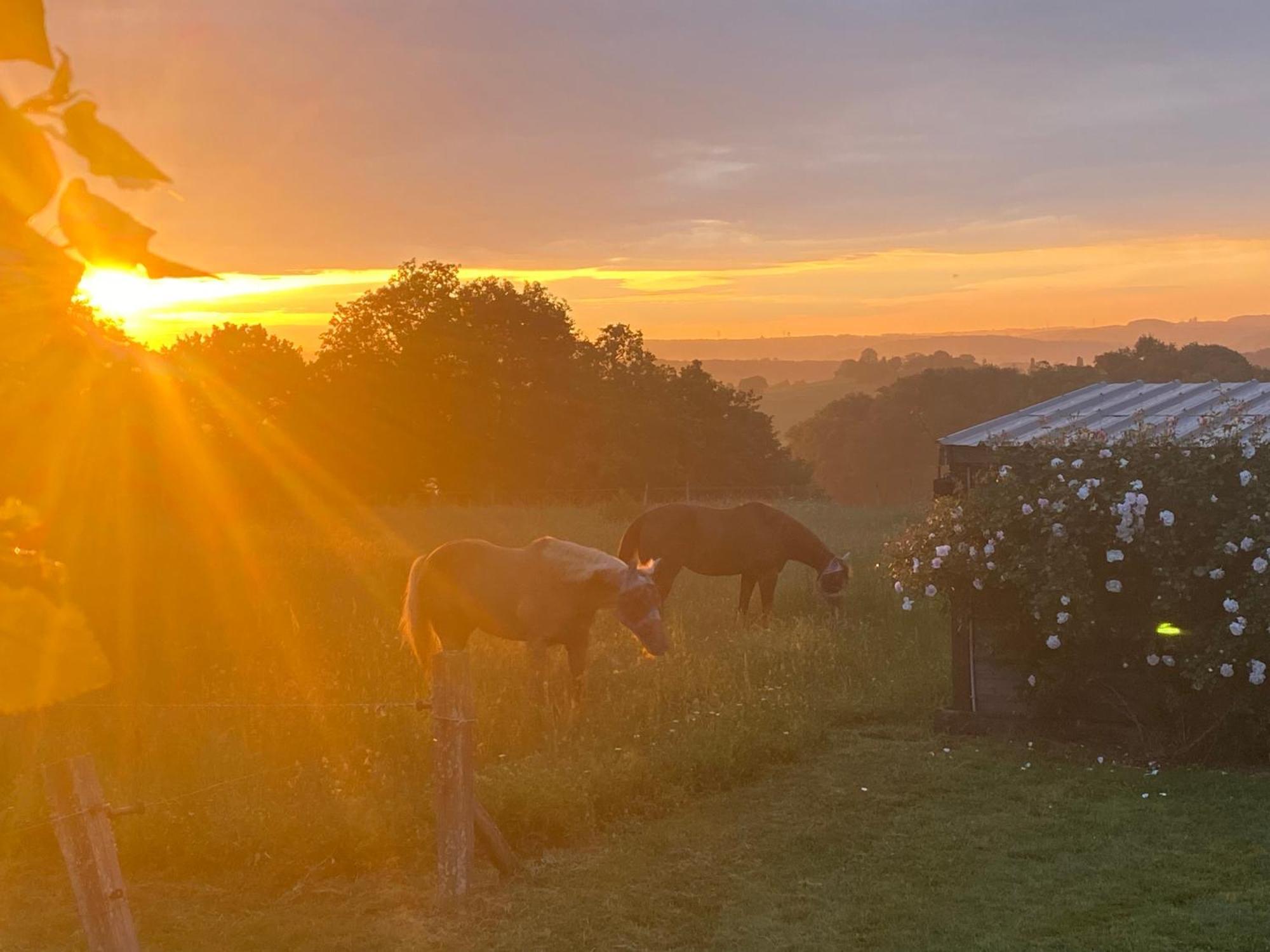 Logement Entier De Charme, Gite Equestre Gers Flamarens Buitenkant foto