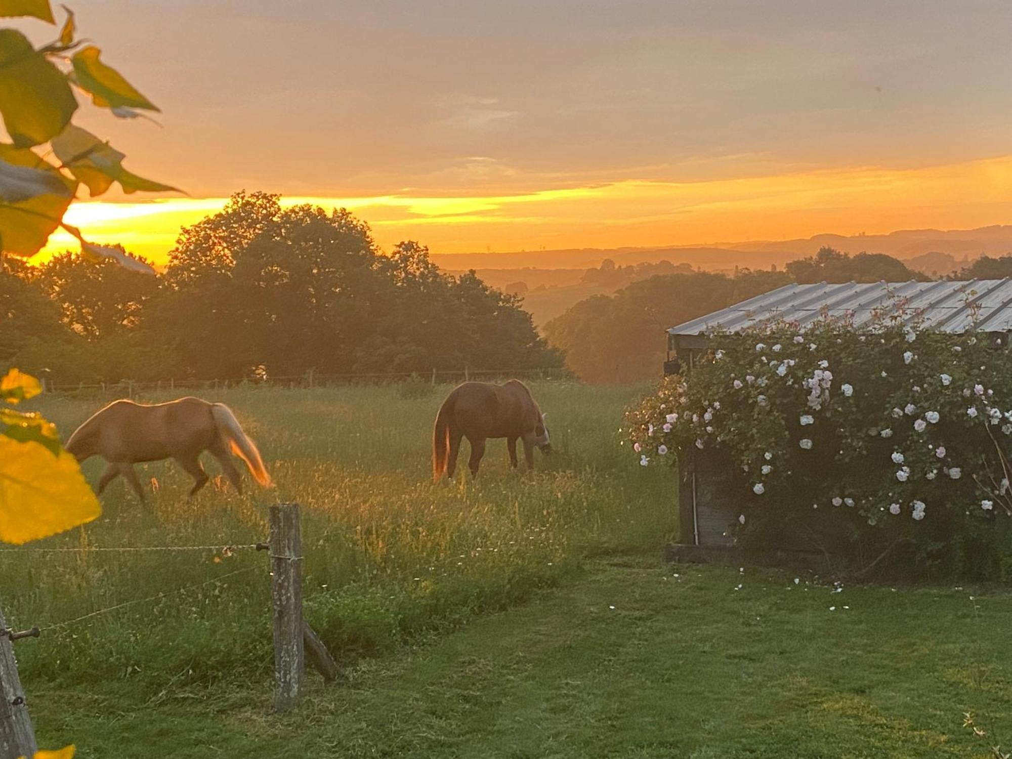 Logement Entier De Charme, Gite Equestre Gers Flamarens Buitenkant foto