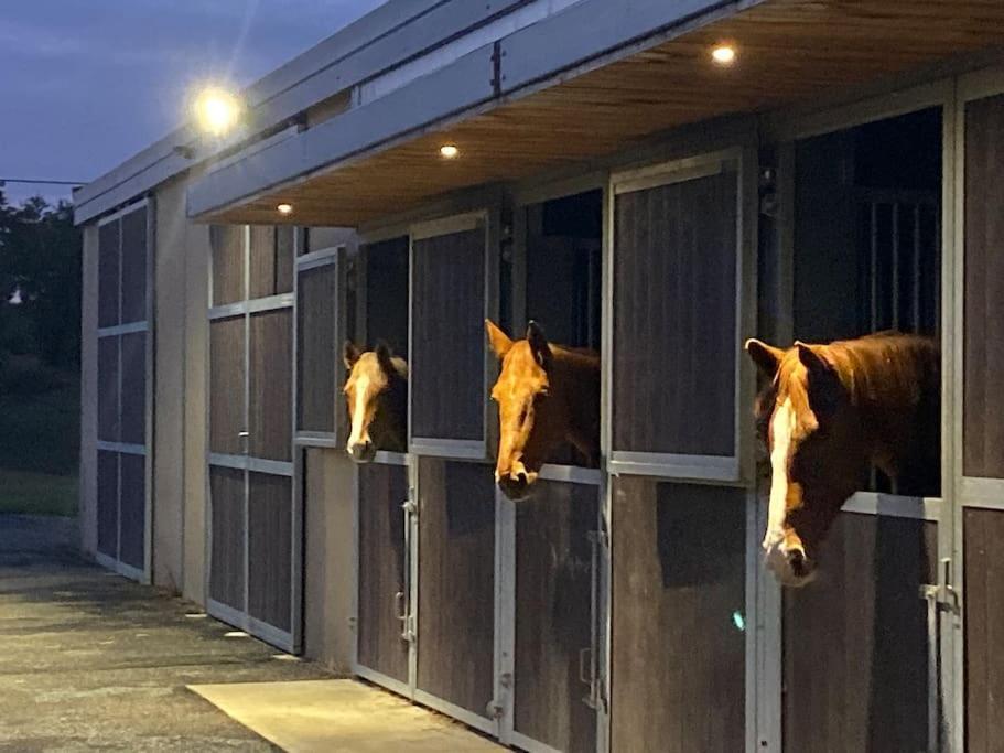 Logement Entier De Charme, Gite Equestre Gers Flamarens Buitenkant foto