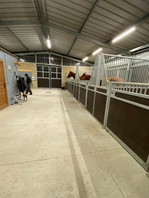 Logement Entier De Charme, Gite Equestre Gers Flamarens Buitenkant foto