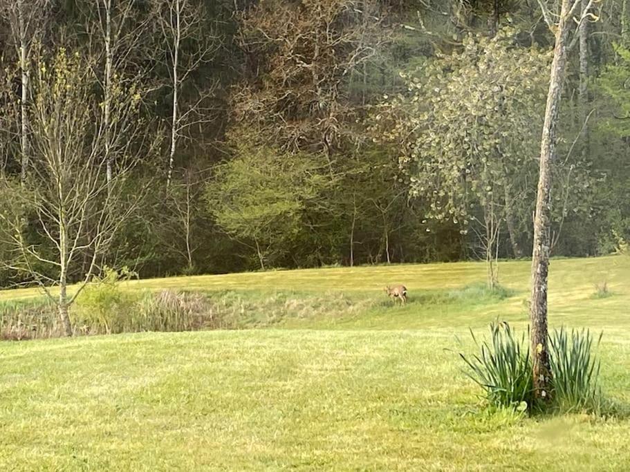 Logement Entier De Charme, Gite Equestre Gers Flamarens Buitenkant foto