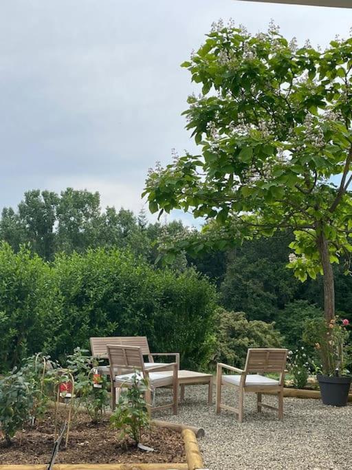 Logement Entier De Charme, Gite Equestre Gers Flamarens Buitenkant foto